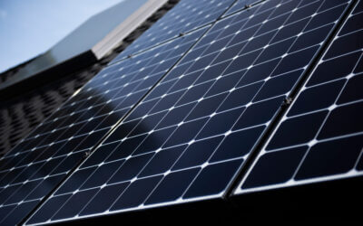 LG Electronics wyznacza nowe standardy branżowe dla najwyższej jakości modułów fotowoltaicznych