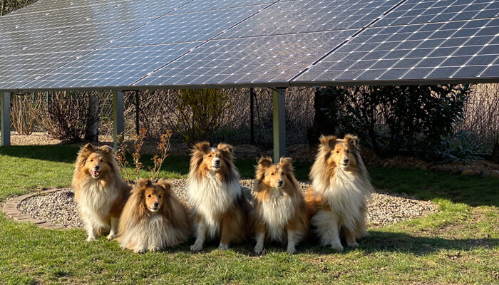 LG NeON 2 / SunOne / Mokronos Dolny